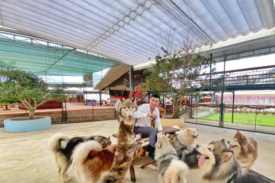 Tour tham quan sở thú Zoodoo Đà Lạt